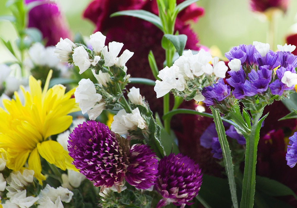 A vibrant bouquet features yellow, purple, white, and red flowers, with lush green stems and leaves, in an outdoor setting with blurred greenery in the background.