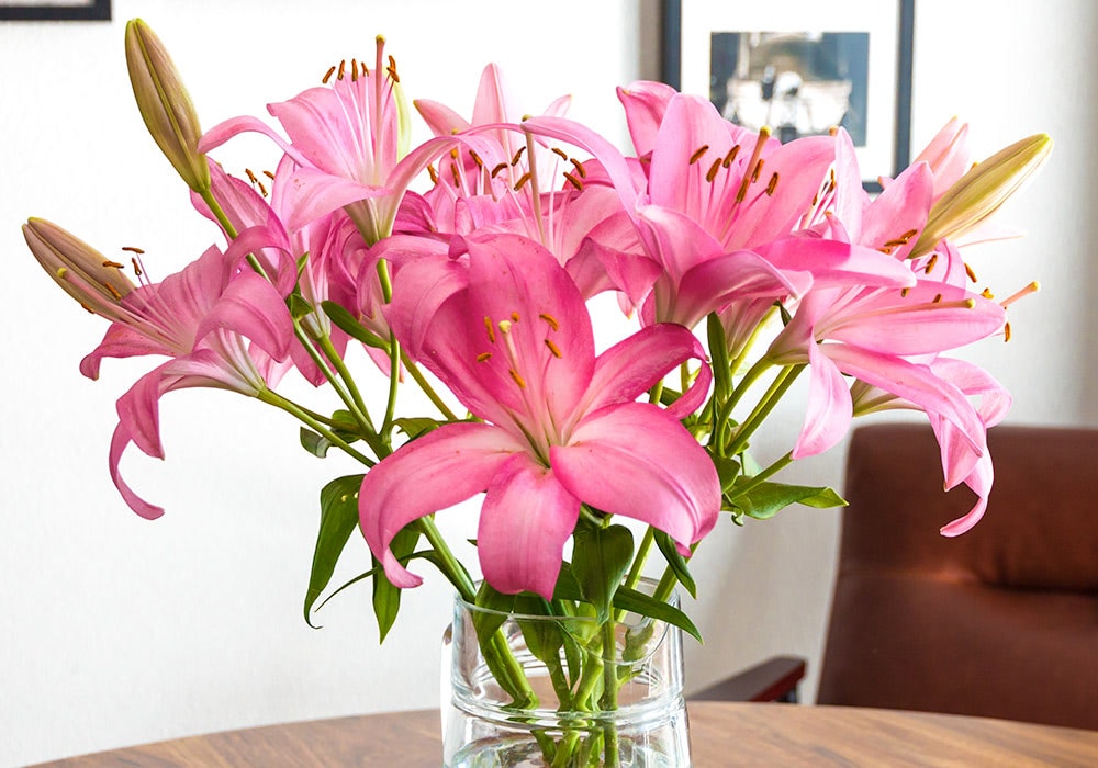 A male pair of hands carefully trims the stems of a flower grouping