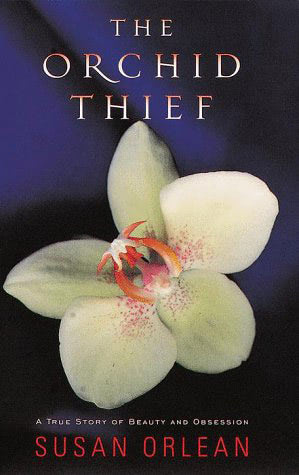 A white orchid is displayed on a dark background. Text on the cover of the book reads, "The Orchid Thief: A True Story of Beauty and Obsession" by Susan Orlean.