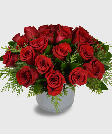 Red roses and winter greens in a white cylinder vase