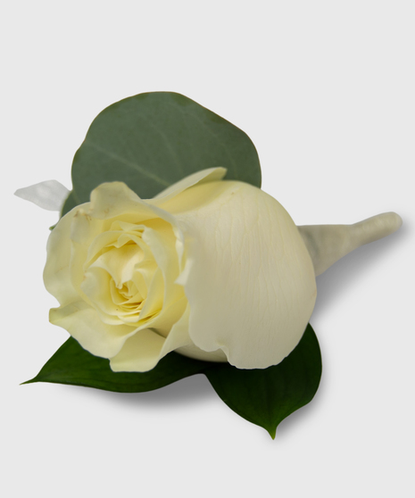 Single Rose with Greenery Boutonniere