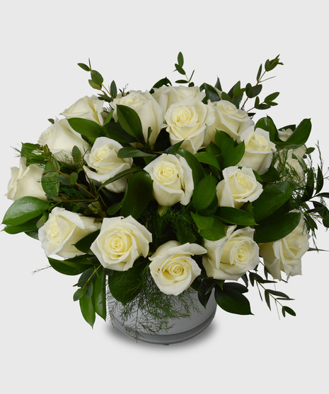 White roses designed in a short white cylinder with a assorted greenery-Two dozen white roses shown