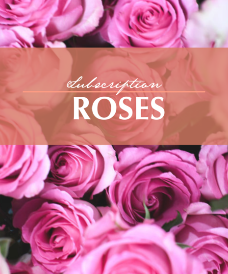 Roses - Subscription