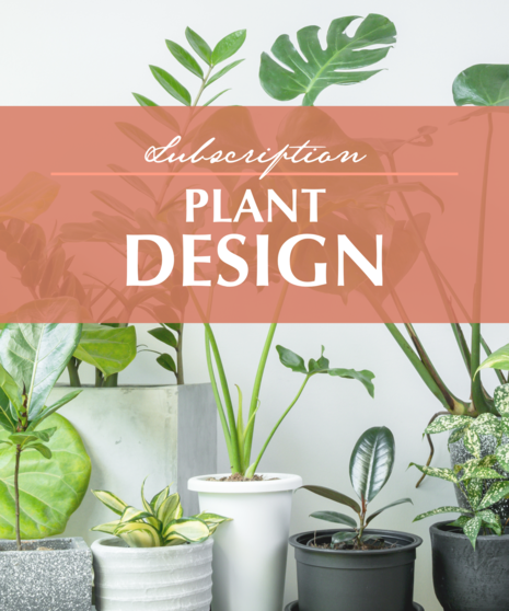 Plant Design - Subscription