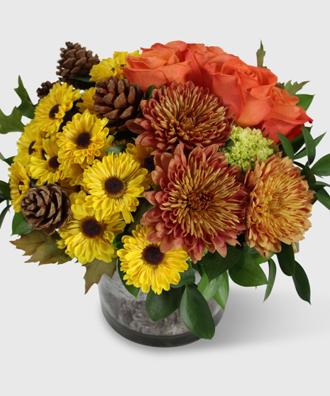 Yellow vyking mums, orange roses, bronze cremons and pine cones designed in a short birch-lined cylinder vase