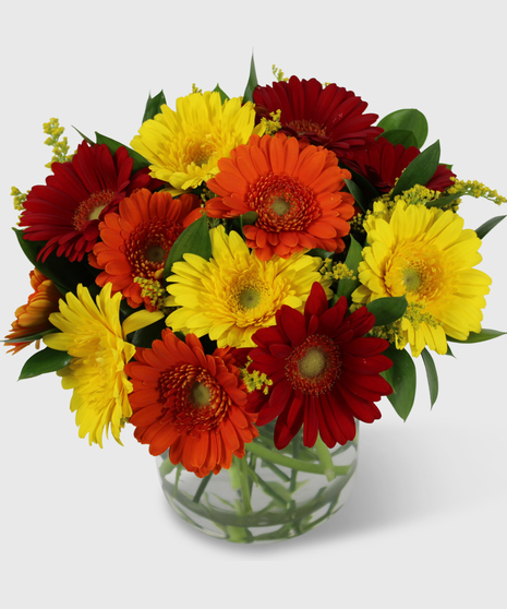 A short compact cylinder vase filled with fall colored mini gerbera daisies and yellow asters