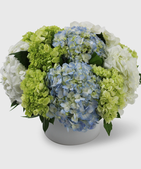 Blue, white and green hydrangea in a cylinder vase.