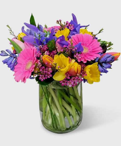 Daffodils, iris, tulips and pink mini gerbera designed in a clear glass vase