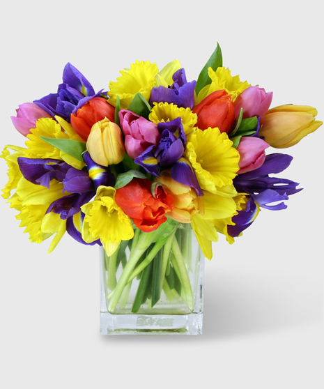 Tulips, iris and daffodils in a clear glass block vase.