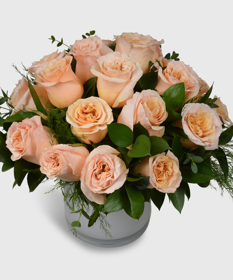 Light peach roses designed in a short white cylinder with a assorted greenery-Two dozen peach roses shown