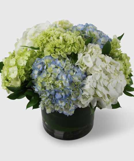 Blue, white and green hydrangea in a cylinder vase.