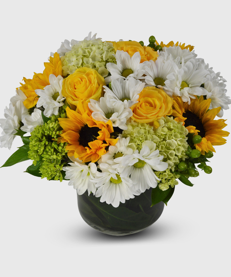 A short compact leaf-lined cylinder filled with sunflowers, yellow roses, green hydrangea, white daisies and green berries