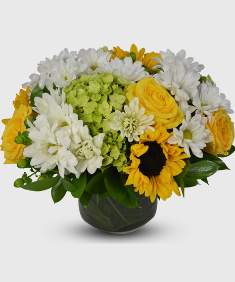 A short compact leaf-lined cylinder filled with sunflowers, yellow roses, green hydrangea, white daisies and green berries