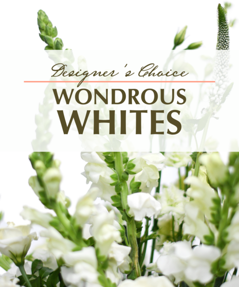 Wondrous Whites