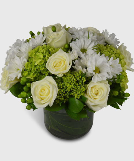 Verdant - Spring Daisies & Hydrangeas