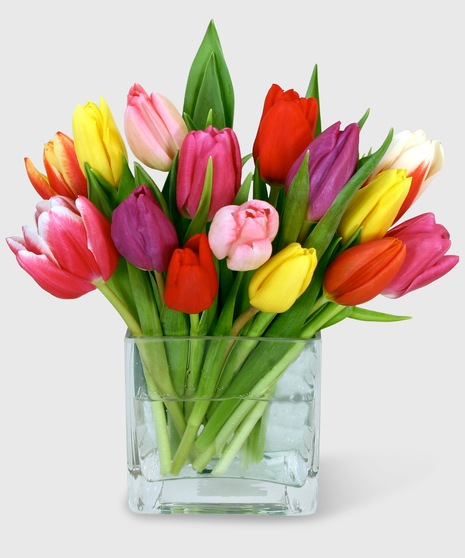 Assortment of colored tulips in a clear glass cube vase.