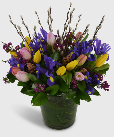 Assorted tulips, blue iris, hyacinth and pussy willow designed in a leaf-lined vase