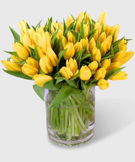 Yellow tulips in a clear glass cylinder vase.