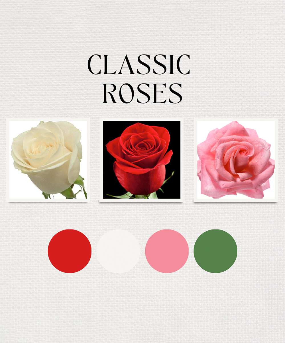 Classic Roses 