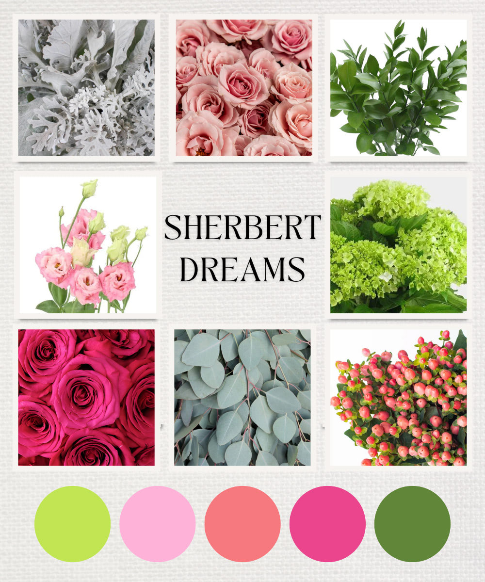 Sherbert Dreams