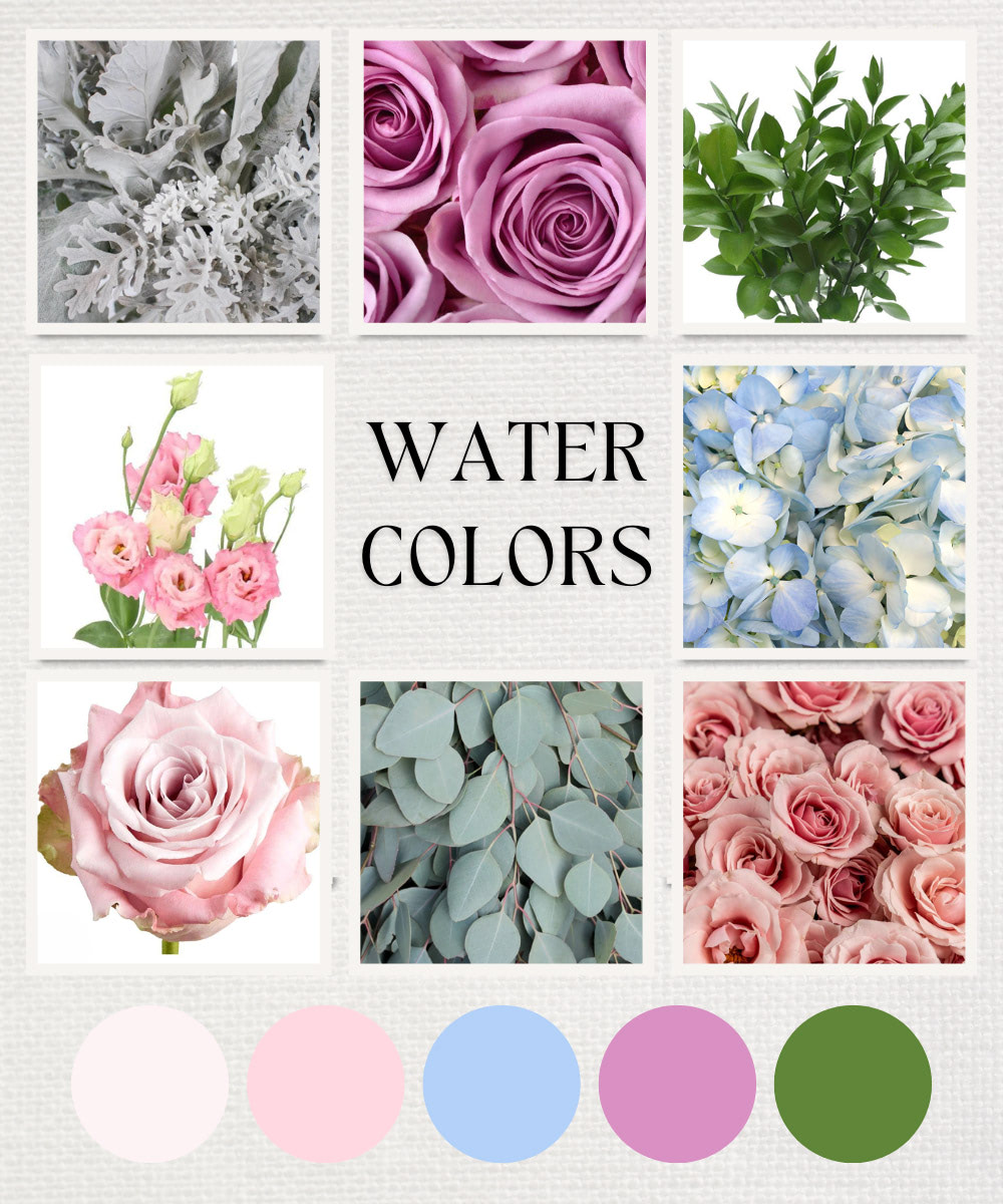 Water Colors